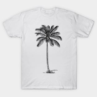 Minimalist Black Palm Tree T-Shirt